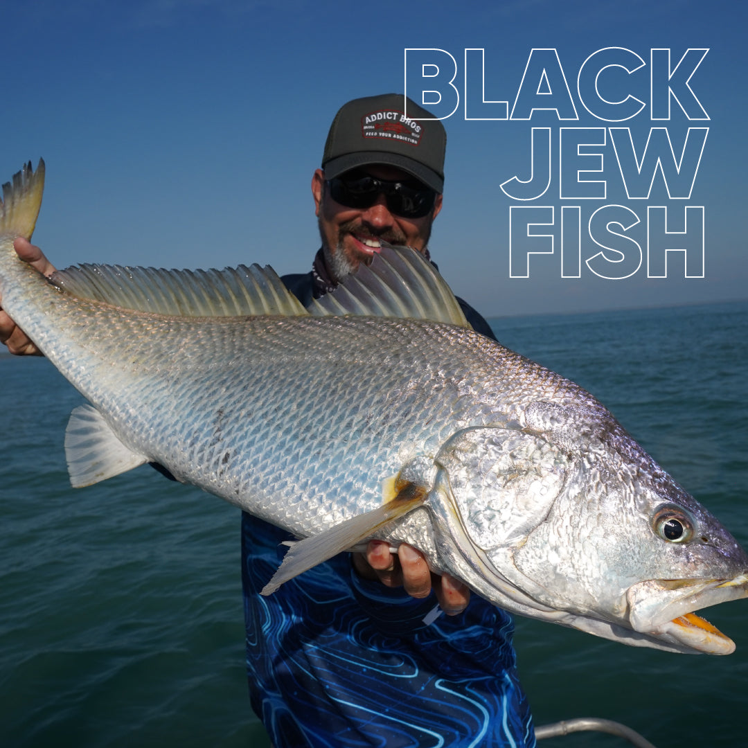 Black Jew Fish – Mark Berg's Fishing Addiction
