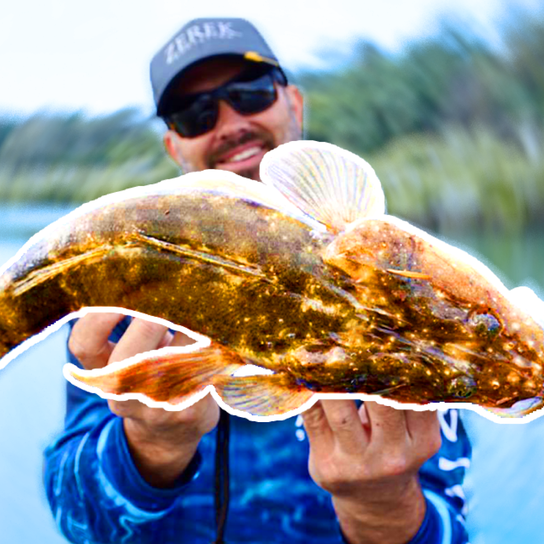 Catch More Flathead Mark Berg's Fishing Addiction