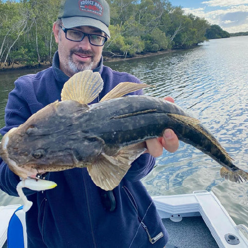 Fishing for Flathead Mark Berg's Fishing Addiction