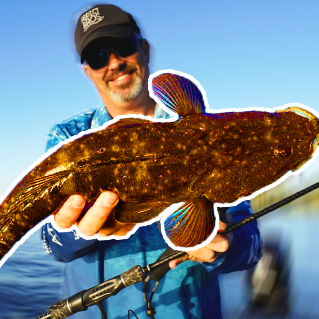 Catch More Flathead Mark Berg's Fishing Addiction