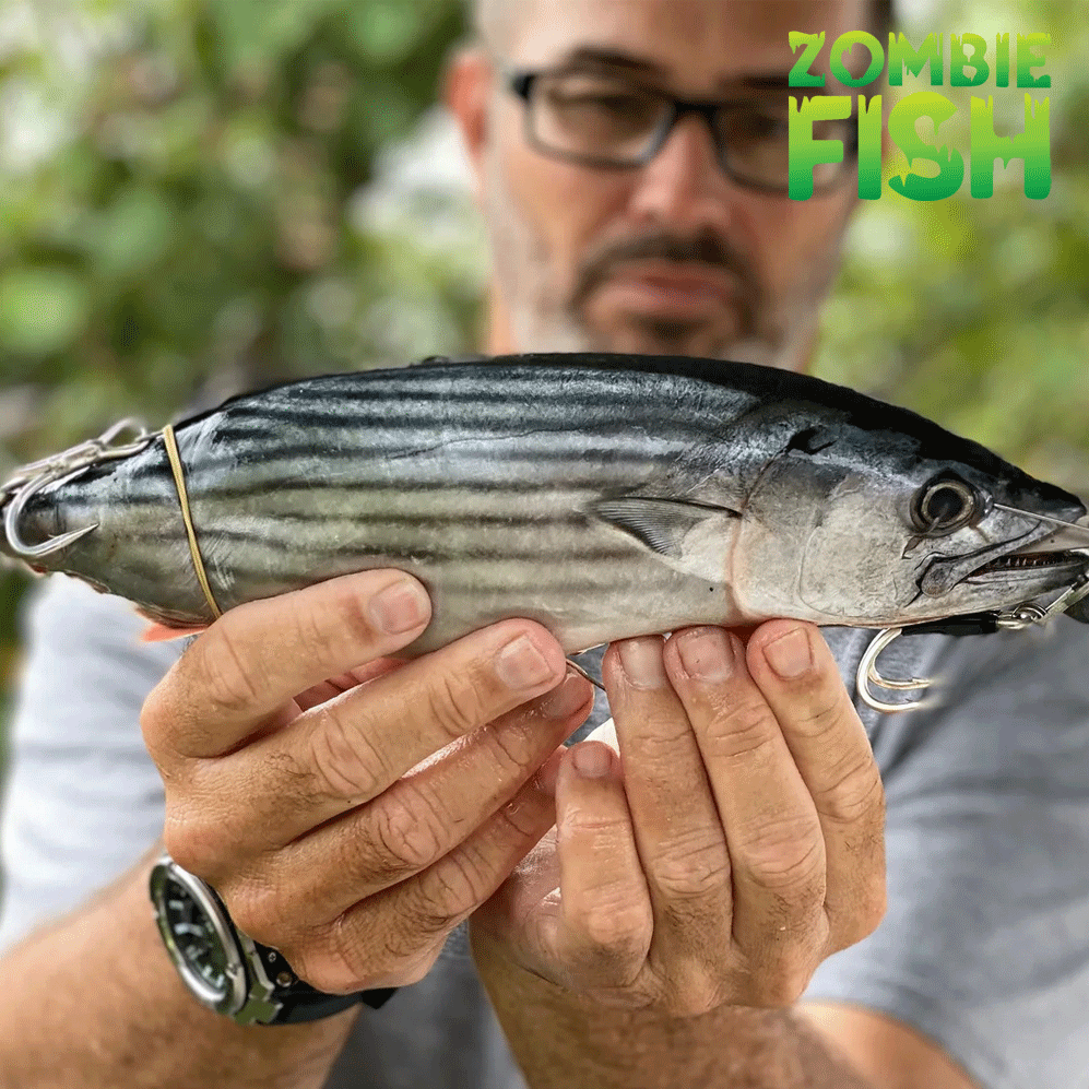 Zombie Fish: Rigging Bonito – Mark Berg's Fishing Addiction