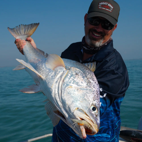 Jewfish explosion! – Mark Berg's Fishing Addiction
