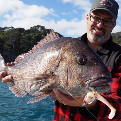 Snapper-time!!!! – Mark Berg's Fishing Addiction