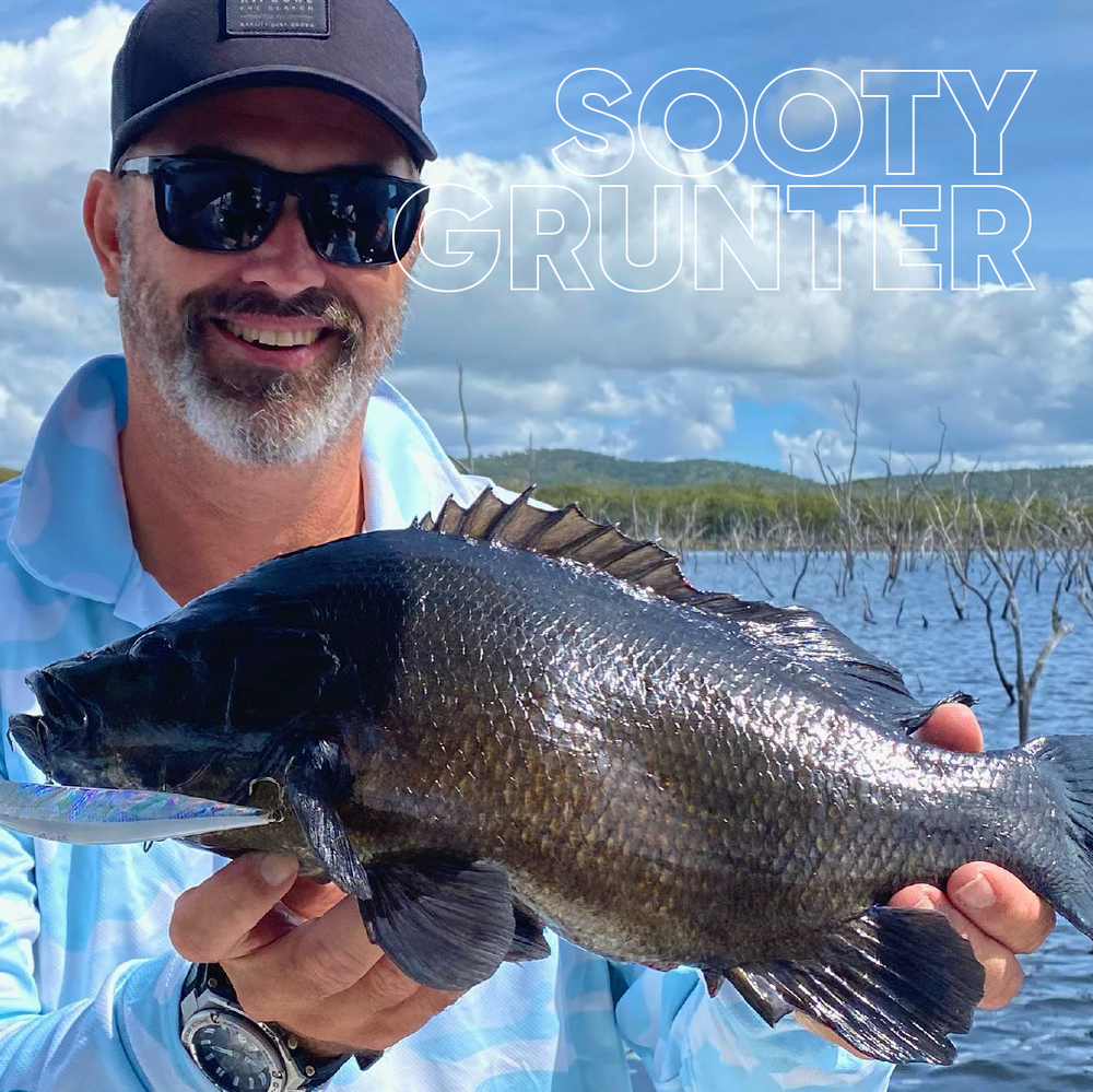 Grinter Fish Sooty Grunter – Mark Berg's Fishing Addiction
